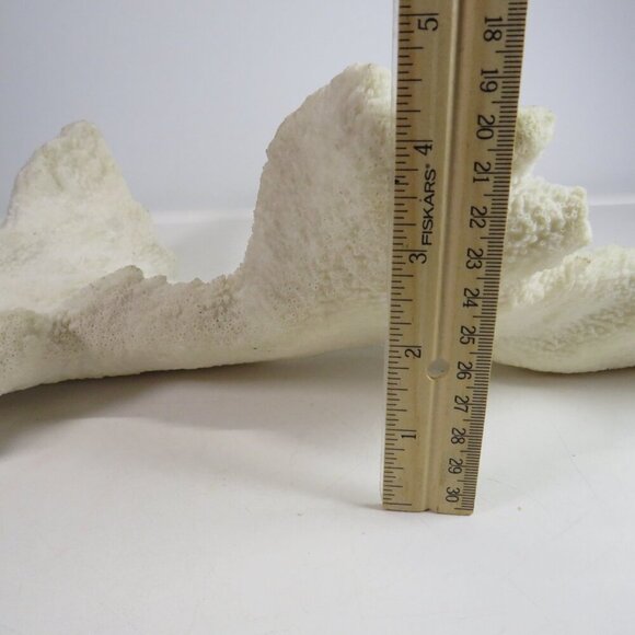 (1) solid Piece of REAL Coral over 3lbs & 13" long - Picture 9 of 14